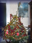 Sapin 2006